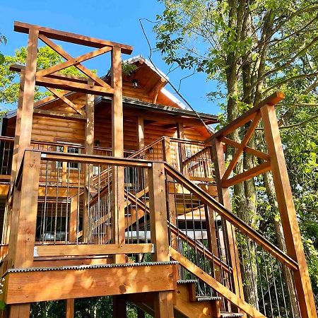 Cricket Hill Treehouse By Amish Country Lodging Millersburg Buitenkant foto